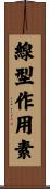 線型作用素 Scroll