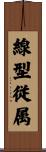 線型従属 Scroll