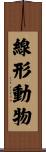 線形動物 Scroll