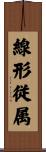 線形従属 Scroll