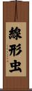 線形虫 Scroll