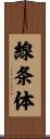 線条体 Scroll