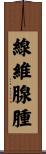 線維腺腫 Scroll