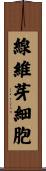 線維芽細胞 Scroll