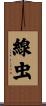線虫 Scroll