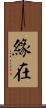 緣在 Scroll