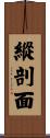 縱剖面 Scroll