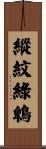 縱紋綠鵯 Scroll