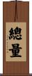總量 Scroll
