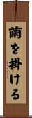 繭を掛ける Scroll