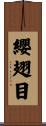 纓翅目 Scroll