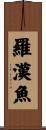 羅漢魚 Scroll