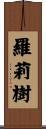 羅莉樹 Scroll