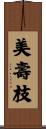 美壽枝 Scroll