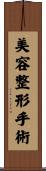 美容整形手術 Scroll