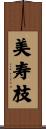 美寿枝 Scroll