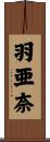 羽亜奈 Scroll