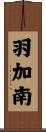 羽加南 Scroll