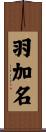 羽加名 Scroll
