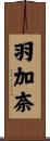 羽加奈 Scroll