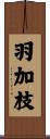 羽加枝 Scroll