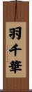 羽千華 Scroll