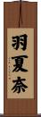 羽夏奈 Scroll