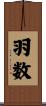 羽数 Scroll