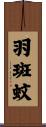 羽斑蚊 Scroll
