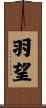 羽望 Scroll