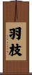 羽枝 Scroll