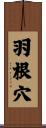 羽根穴 Scroll