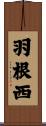 羽根西 Scroll