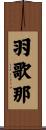 羽歌那 Scroll