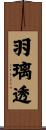 羽璃透 Scroll