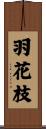 羽花枝 Scroll