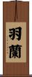 羽蘭 Scroll