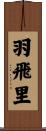羽飛里 Scroll