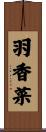 羽香菜 Scroll