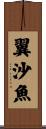 翼沙魚 Scroll
