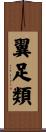 翼足類 Scroll