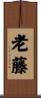 老藤 Scroll