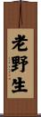 老野生 Scroll