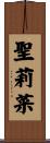 聖莉菜 Scroll