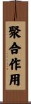聚合作用 Scroll