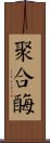 聚合酶 Scroll