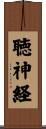聴神経 Scroll
