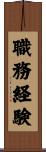 職務経験 Scroll