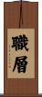 職層 Scroll