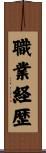 職業経歴 Scroll
